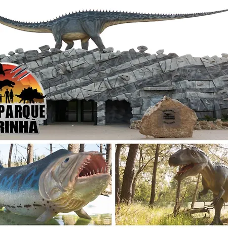 Modern Urban Soul Retreat *